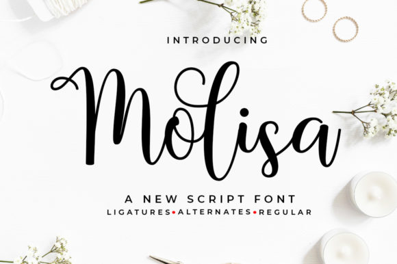 Molisa: A Playful Script Font for Editorial Design