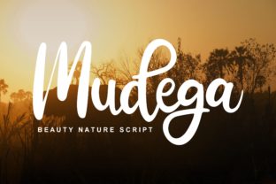 Mudega: A Playful Script Font for Web Design