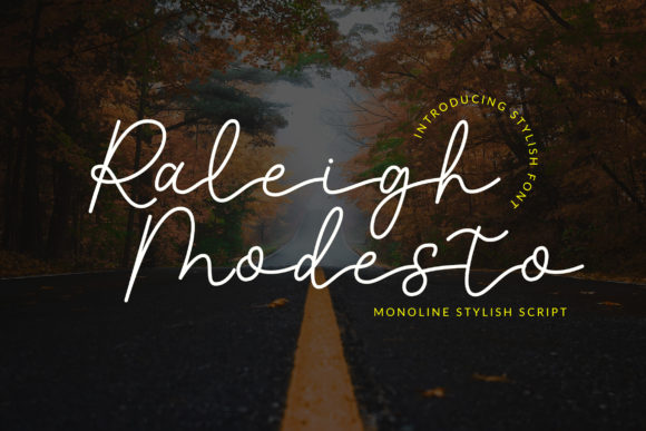 Raleigh Modesto