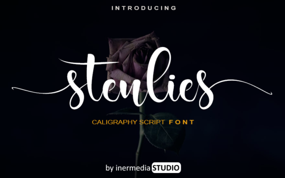 Stenlies: The Font That Boosted My Bakery’s Brand